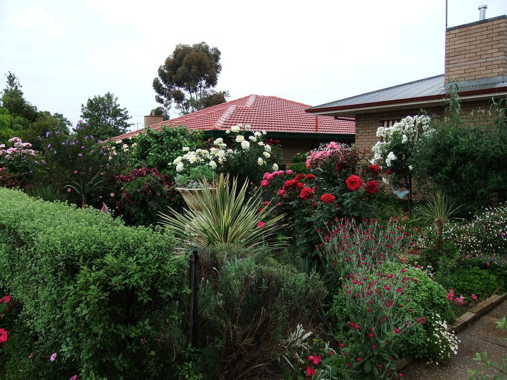 Admurraya House Bed & Breakfast Rutherglen Extérieur photo