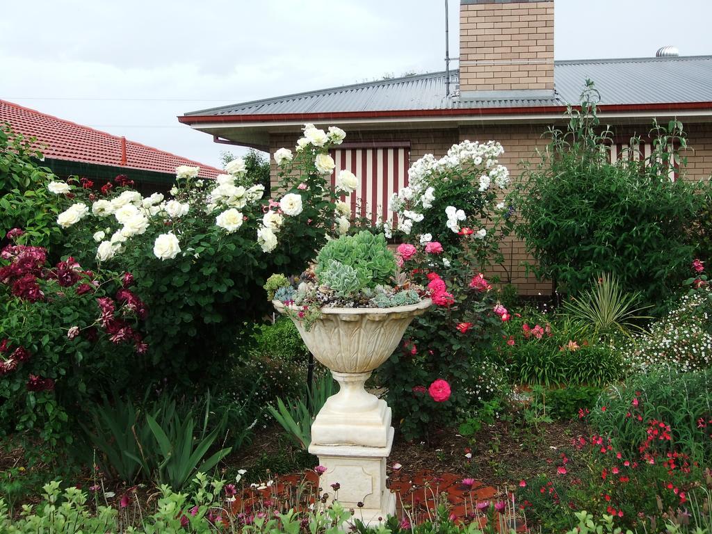 Admurraya House Bed & Breakfast Rutherglen Extérieur photo