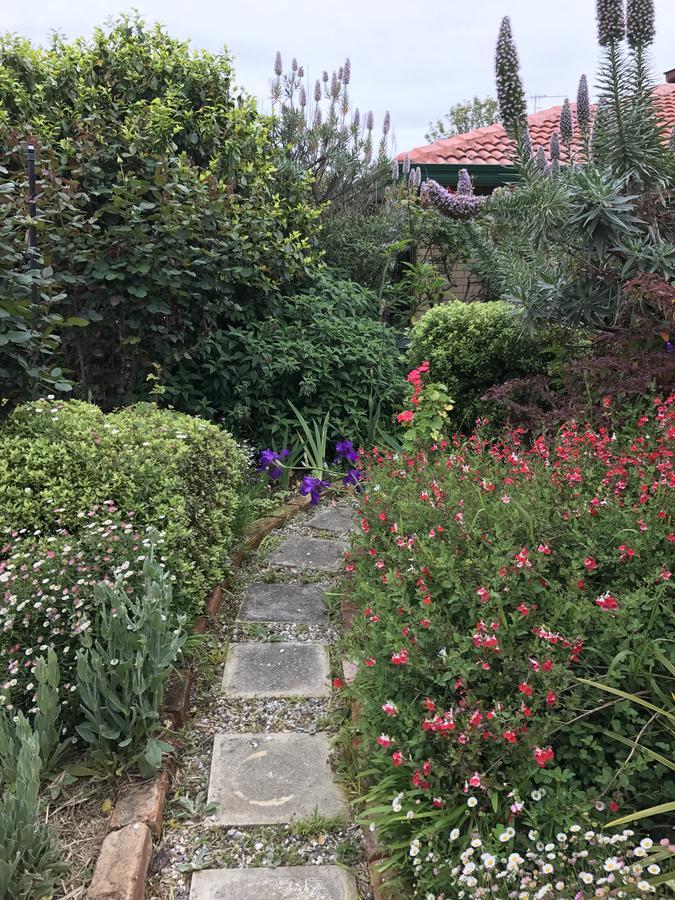 Admurraya House Bed & Breakfast Rutherglen Extérieur photo