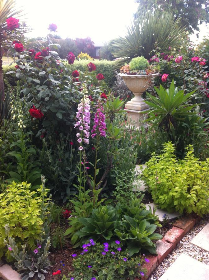 Admurraya House Bed & Breakfast Rutherglen Extérieur photo